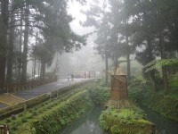 溪頭台大實驗林管理處<br/> 攝影：三井