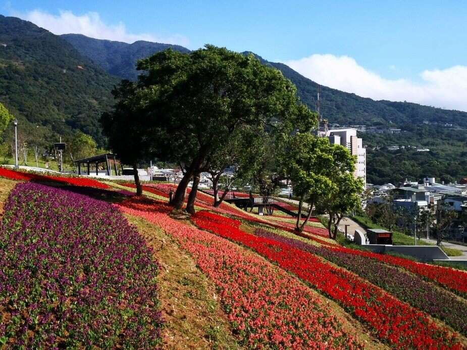 北投社三層崎公園花海美景 攝影：圖片來源 / 北市觀傳局（資料照片）