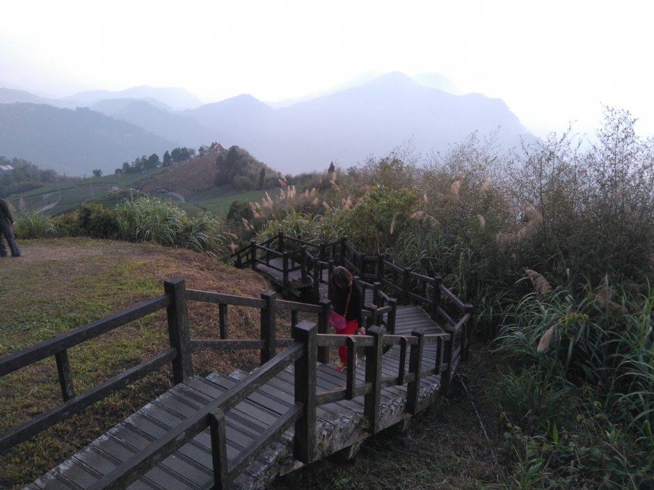 二延平步道 攝影：Lu