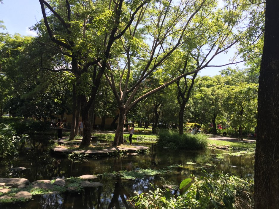大東濕地公園 攝影：旅遊王攝影組