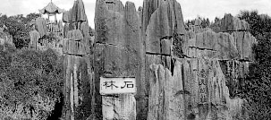 石林 攝影：四川旅遊信息網