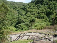 旭海草原步道沿途景觀<br/> 攝影：老山羊部落格
