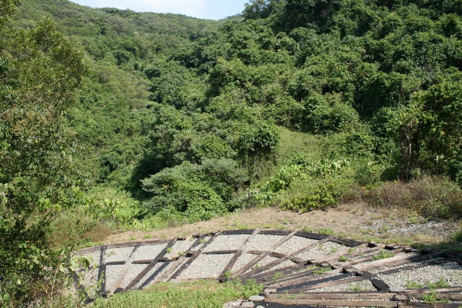 旭海草原步道沿途景觀 攝影：老山羊部落格