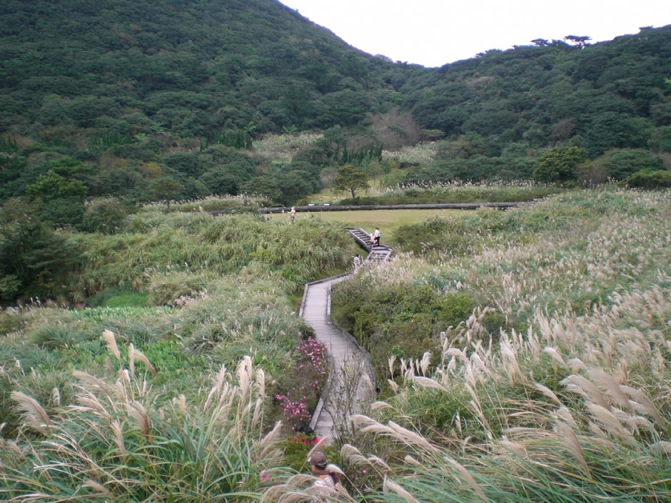大屯山自然公園 攝影：amo