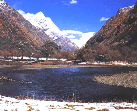 人參果坪初雪 攝影：四川旅遊信息網