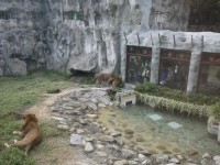 獅園-20131229<br/> 攝影：三井