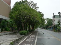鳳林自行車道<br/> 攝影：Eva隨手拍