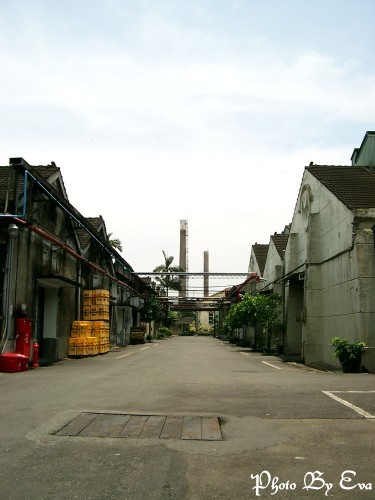 酒廠道路 攝影：EVA隨手拍