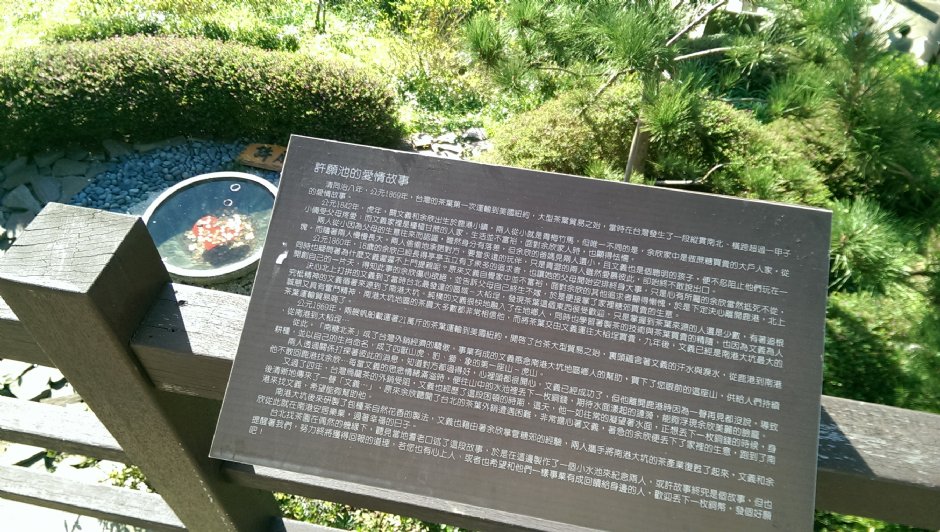 許願池的愛情故事 攝影：Eva隨手拍