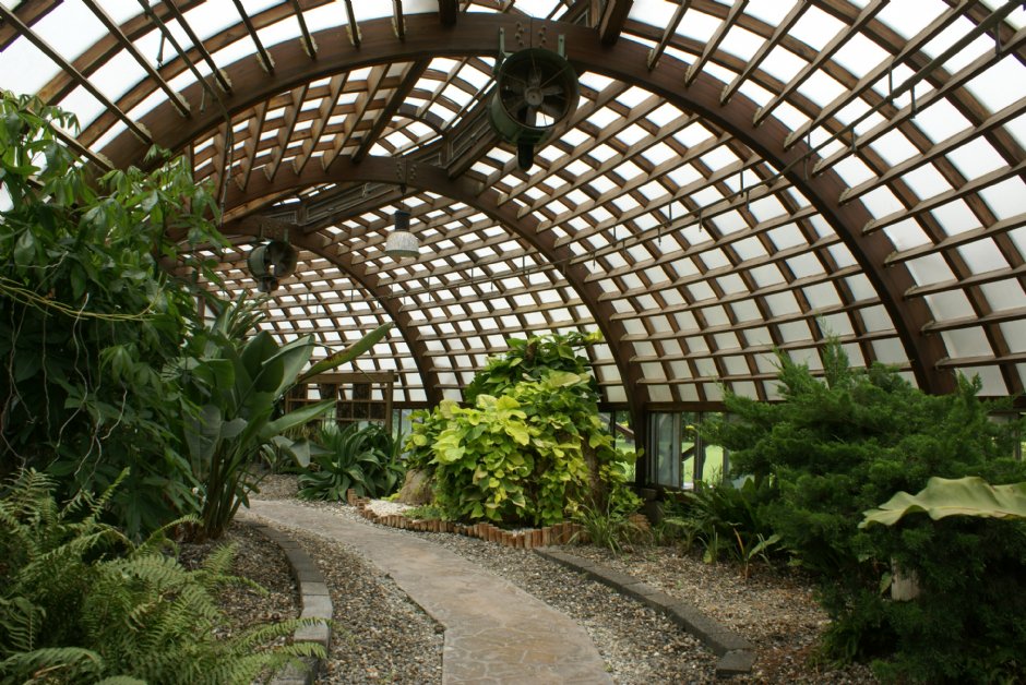 水生植物園區 攝影：Eva隨手拍