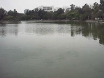 寬廣湖面 攝影：郭香妙