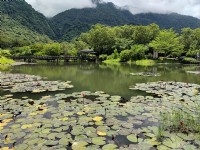 羅山大魚池 (2021.08 攝)<br/> 攝影：Louis