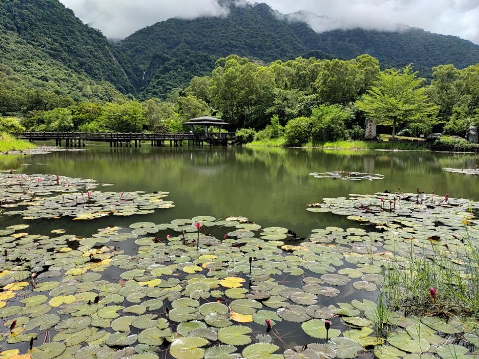 羅山大魚池 (2021.08 攝) 攝影：Louis