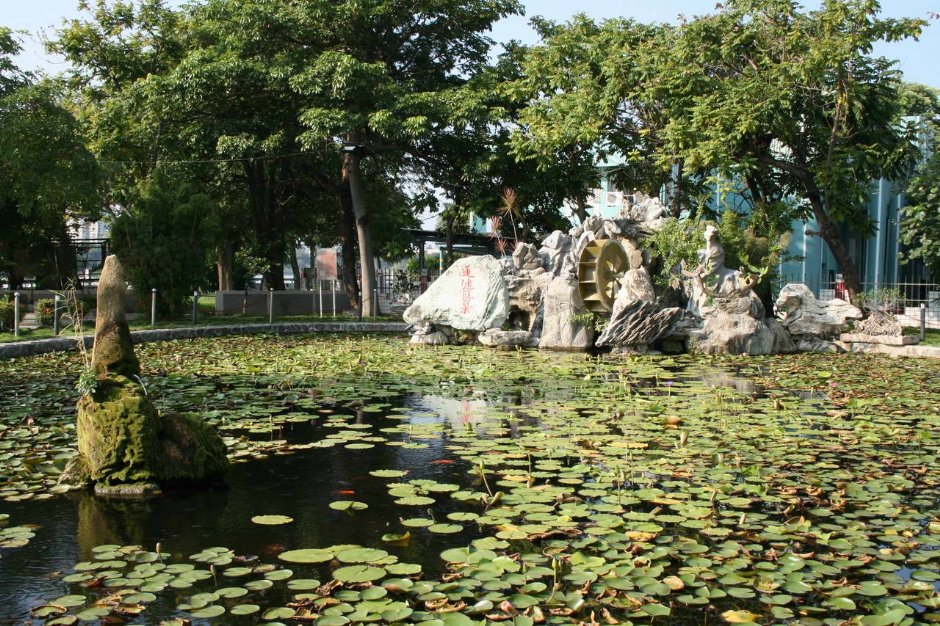 蓮池勝景 攝影：老山羊部落格