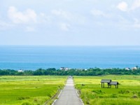 金剛大道遠眺可望見海天一線<br/> 攝影：台東觀光旅遊網 提供