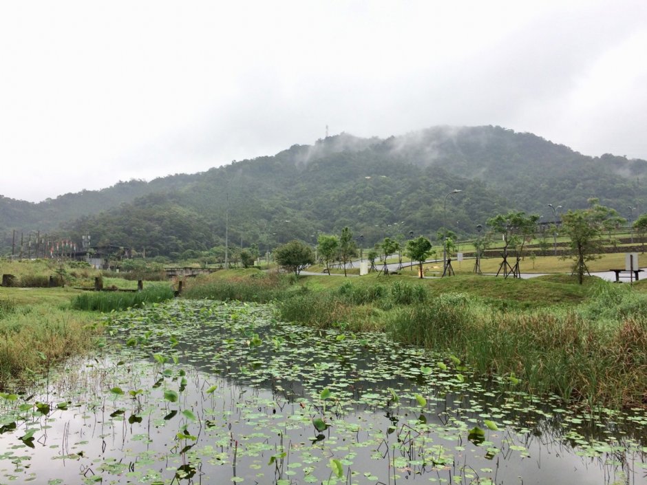 山水綠生態公園 攝影：Eva隨手拍