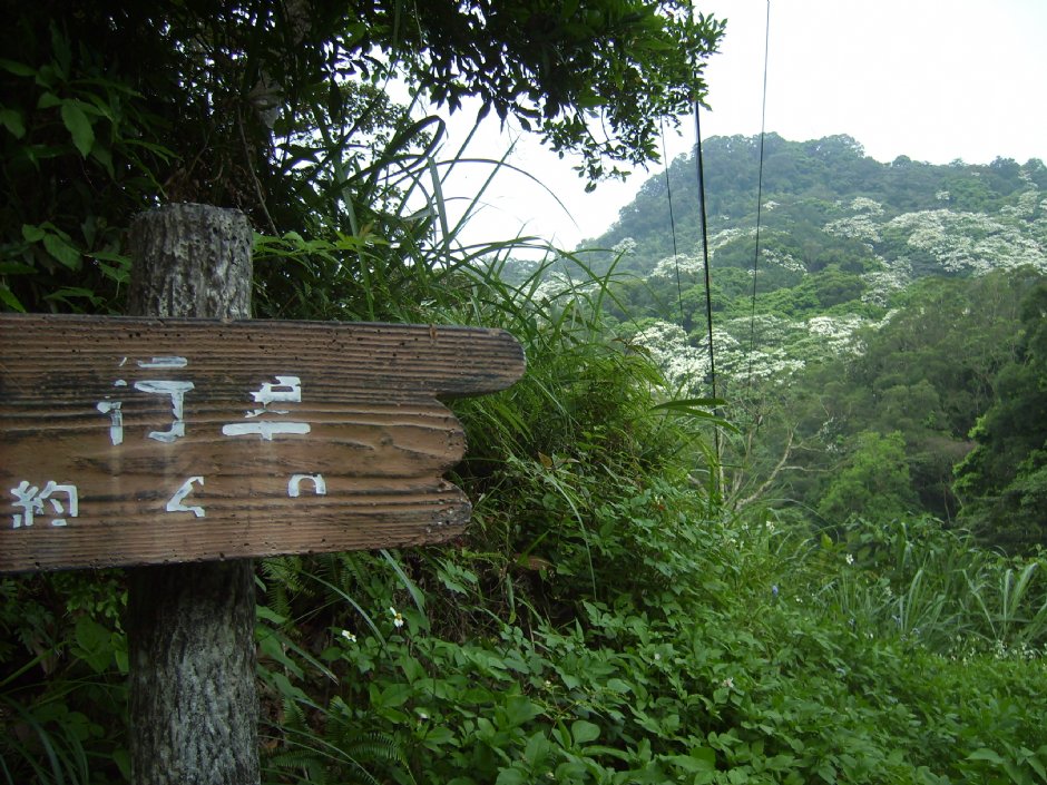 大艽芎古道 攝影：xcatx