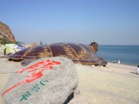 大連濱海路的龜與歸<br/> 攝影：馮順