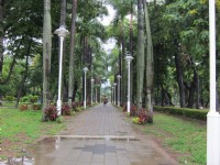 台南公園<br/> 攝影：Bruce
