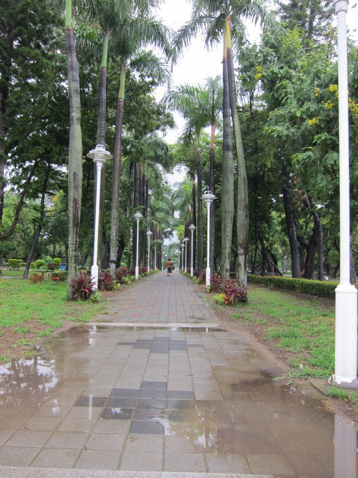 台南公園 攝影：Bruce