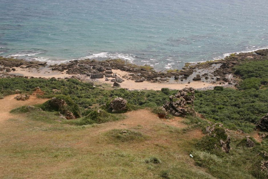 蜿蜒的海岸線 攝影：老山羊部落格