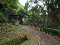 水碓觀景公園的山林步道<br/> 攝影：kavin