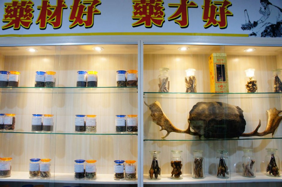 中藥材導覽 攝影：立康健康養生觀光工廠