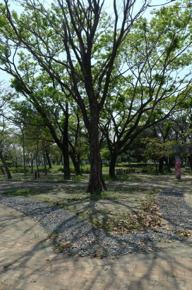 新客家文化園區 攝影：Eva隨手拍