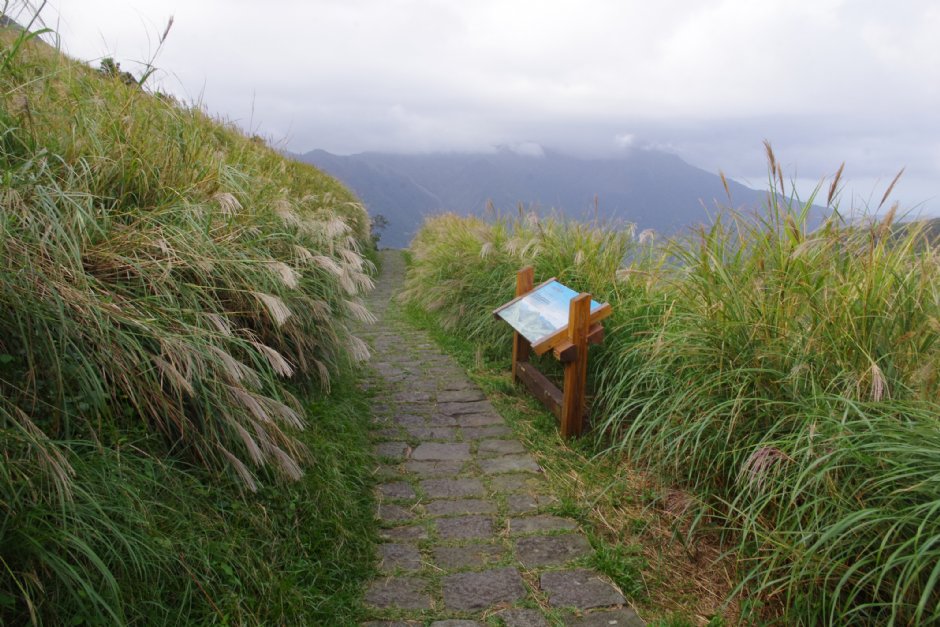 七星山東峰步道 攝影：Eva隨手拍