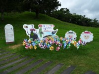 2015清境風車節(觀山牧區)<br/> 攝影：Eva隨手拍