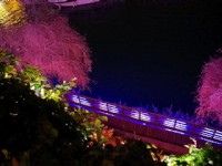 梅荷園<br/> 攝影：Eva隨手拍