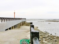 香山濕地<br/> 攝影：Eva隨手拍