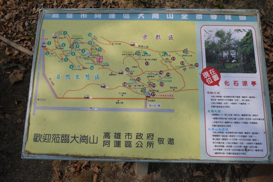 大崗山風景區生態區 攝影：三井