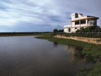 鰲鼓濕地觀海樓<br/> 攝影：照片來源_台灣山林悠遊網