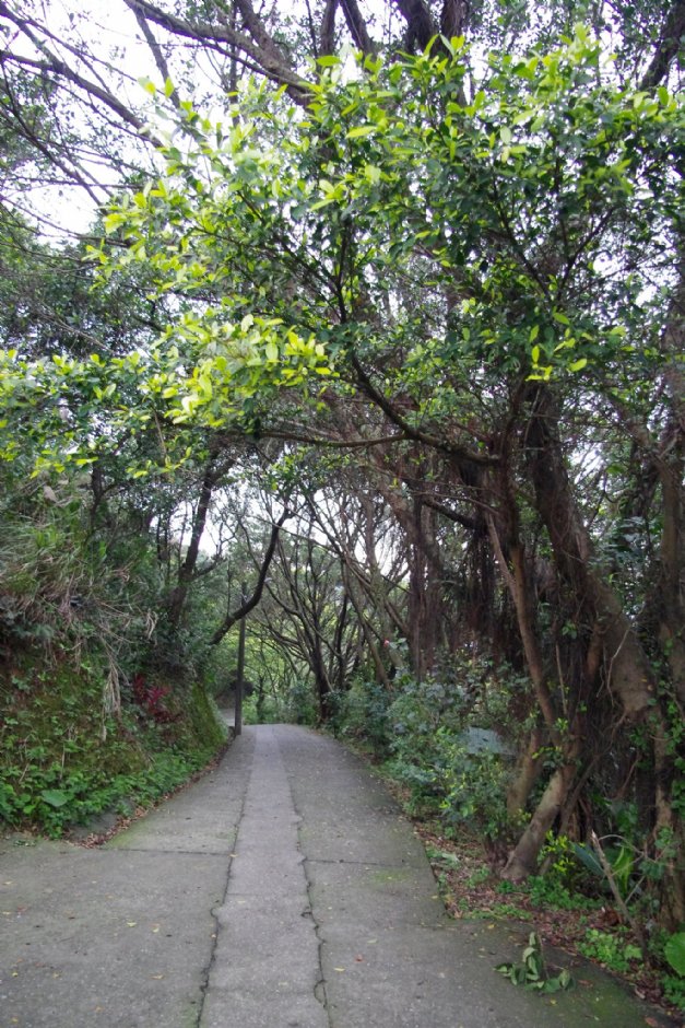 獅球公園步道 攝影：Eva隨手拍