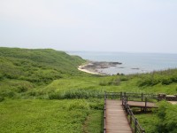 Photo:sheng