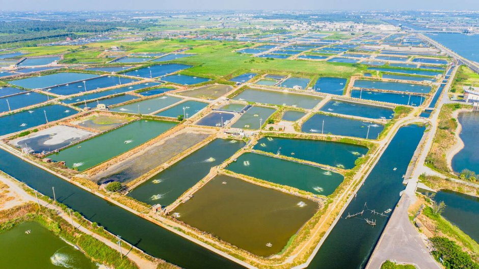 鳥瞰鰲鼓濕地 攝影：照片來源_雲嘉南濱海國家風景區