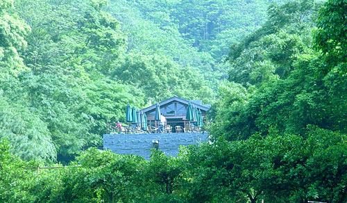 山中祕境 攝影：小管
