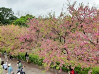 淡水天元宮<br/> 攝影：娥