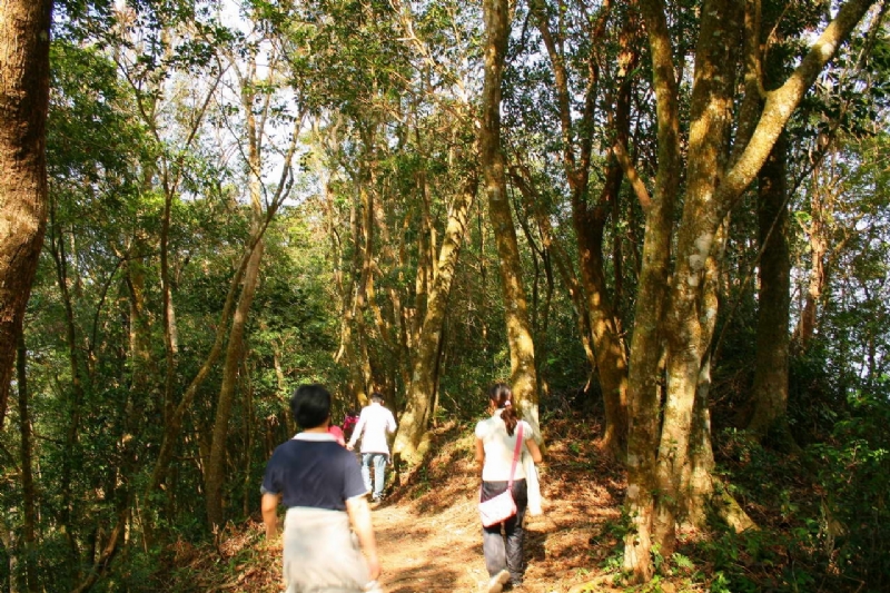 山脊步道 攝影：老山羊部落格