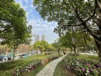 大安森林公園<br/> 攝影：Eva隨手拍