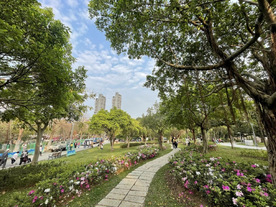 大安森林公園 攝影：Eva隨手拍