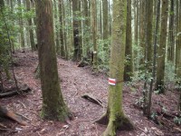 野馬瞰山步道<br/> 攝影：Lu