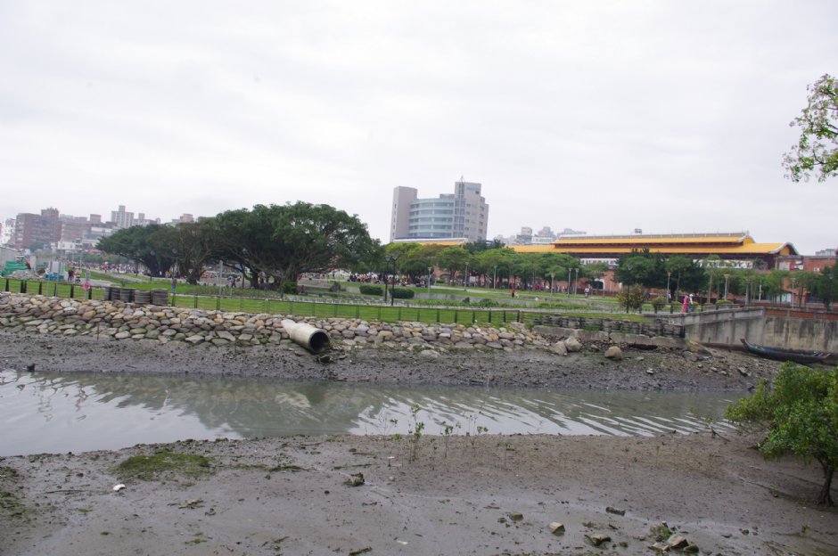 由淡水文化園區後方可見濕地生態 攝影：Eva隨手拍