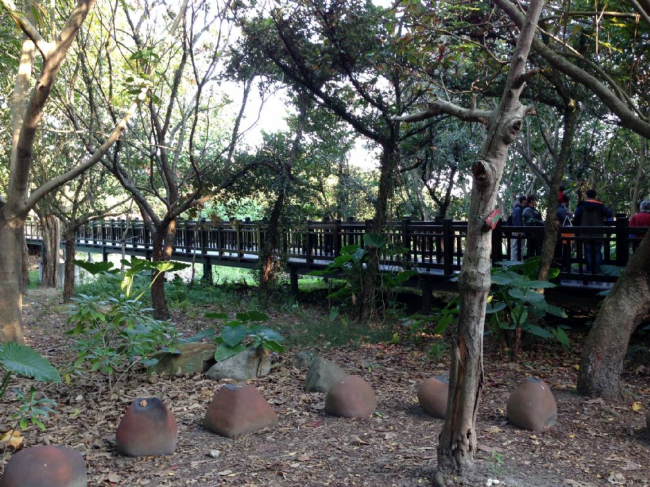 園內一景 攝影：陳皮梅