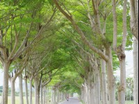 鹿野龍田自行車道<br/> 攝影：Eva隨手拍