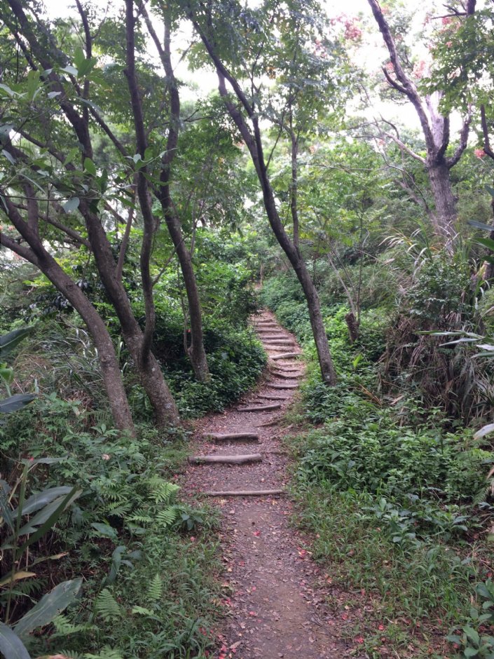 福州山公園 攝影：Eva隨手拍