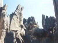 石林-2<br/> 攝影：台灣中國旅行社