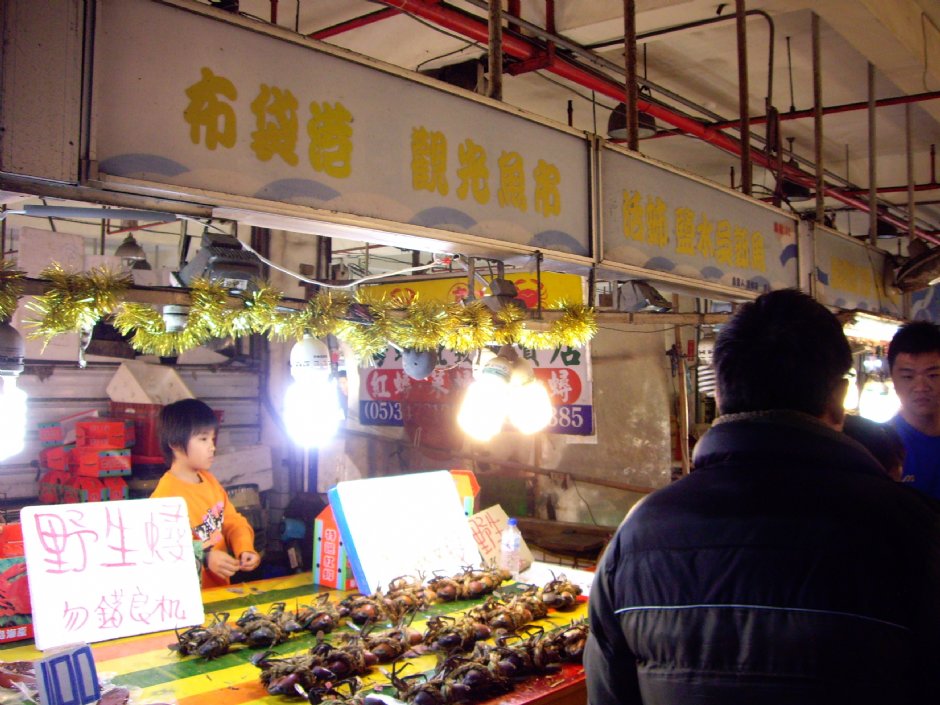 布袋觀光漁市 攝影：Eva隨手拍