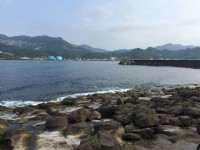 站在深澳岬角看漁港<br/> 攝影：May